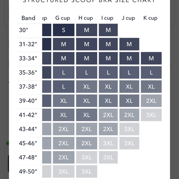 Evelyn and Bobbie Structured Scoop Bra in Mica (M) - Picture 6 of 8